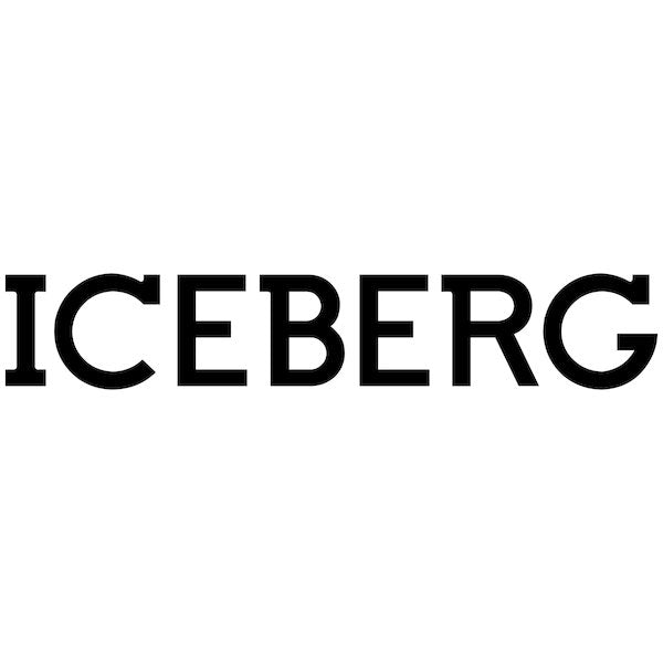 ICEBERG