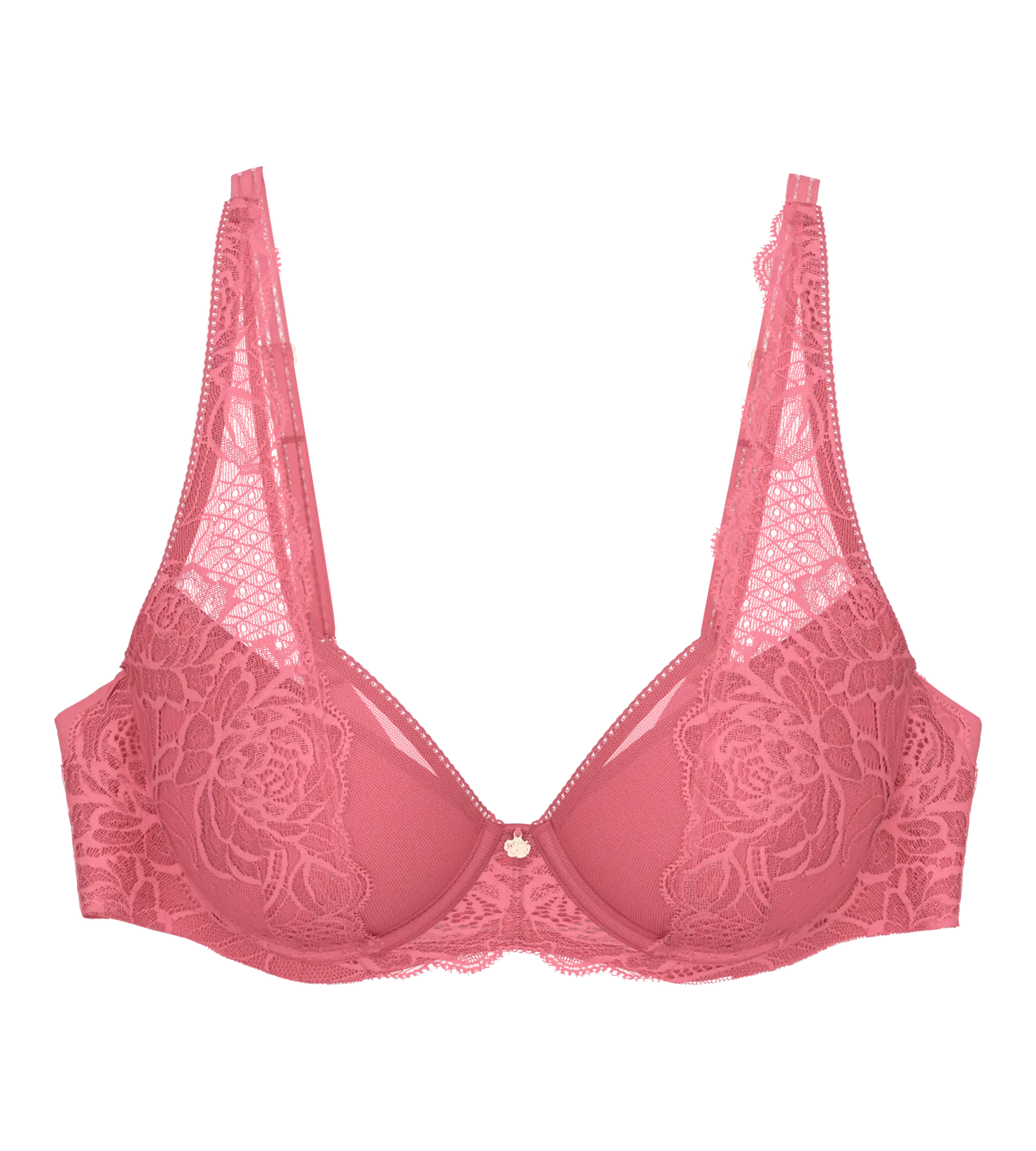 WILD ROSE