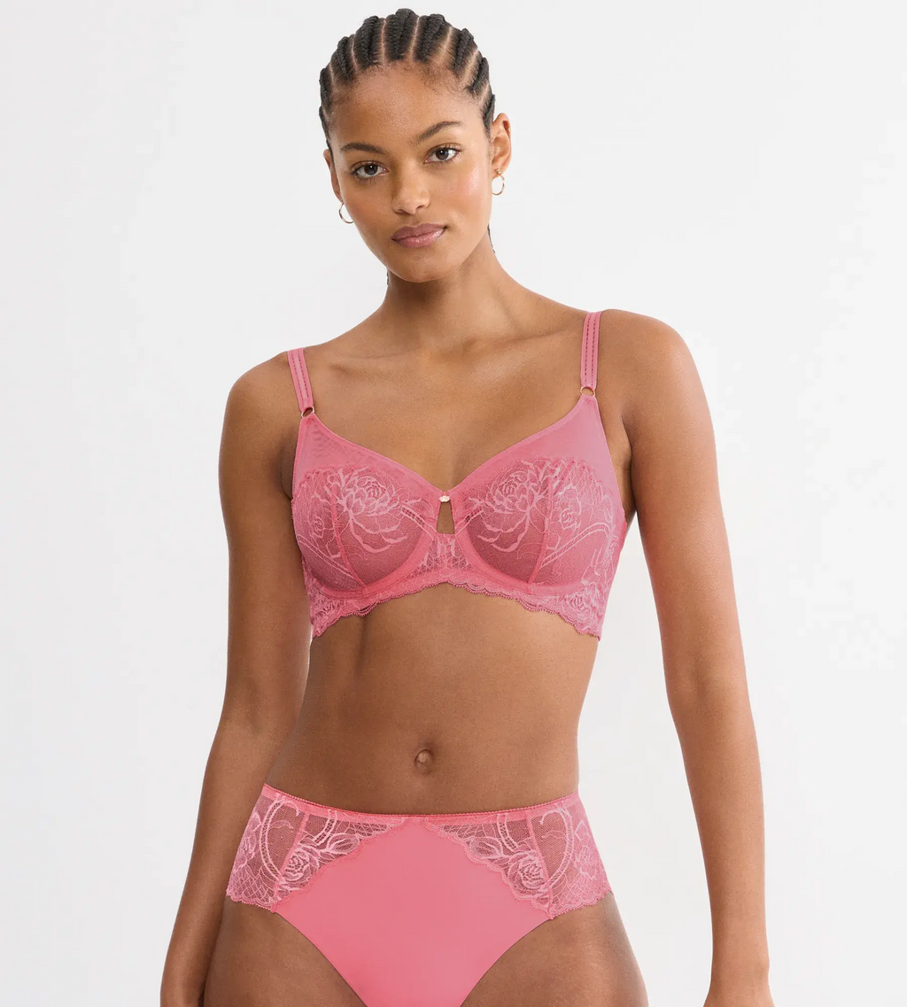 WILD ROSE