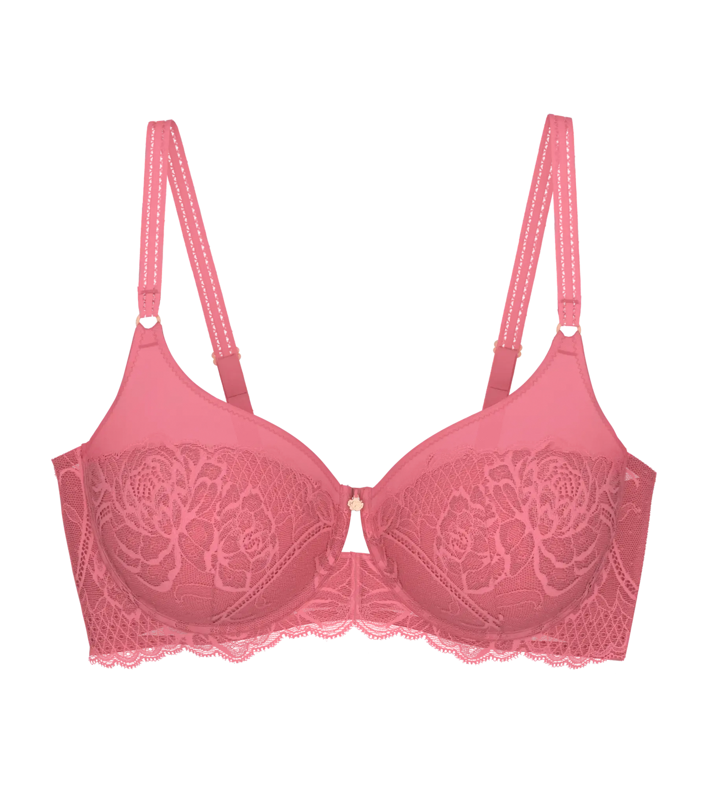 WILD ROSE