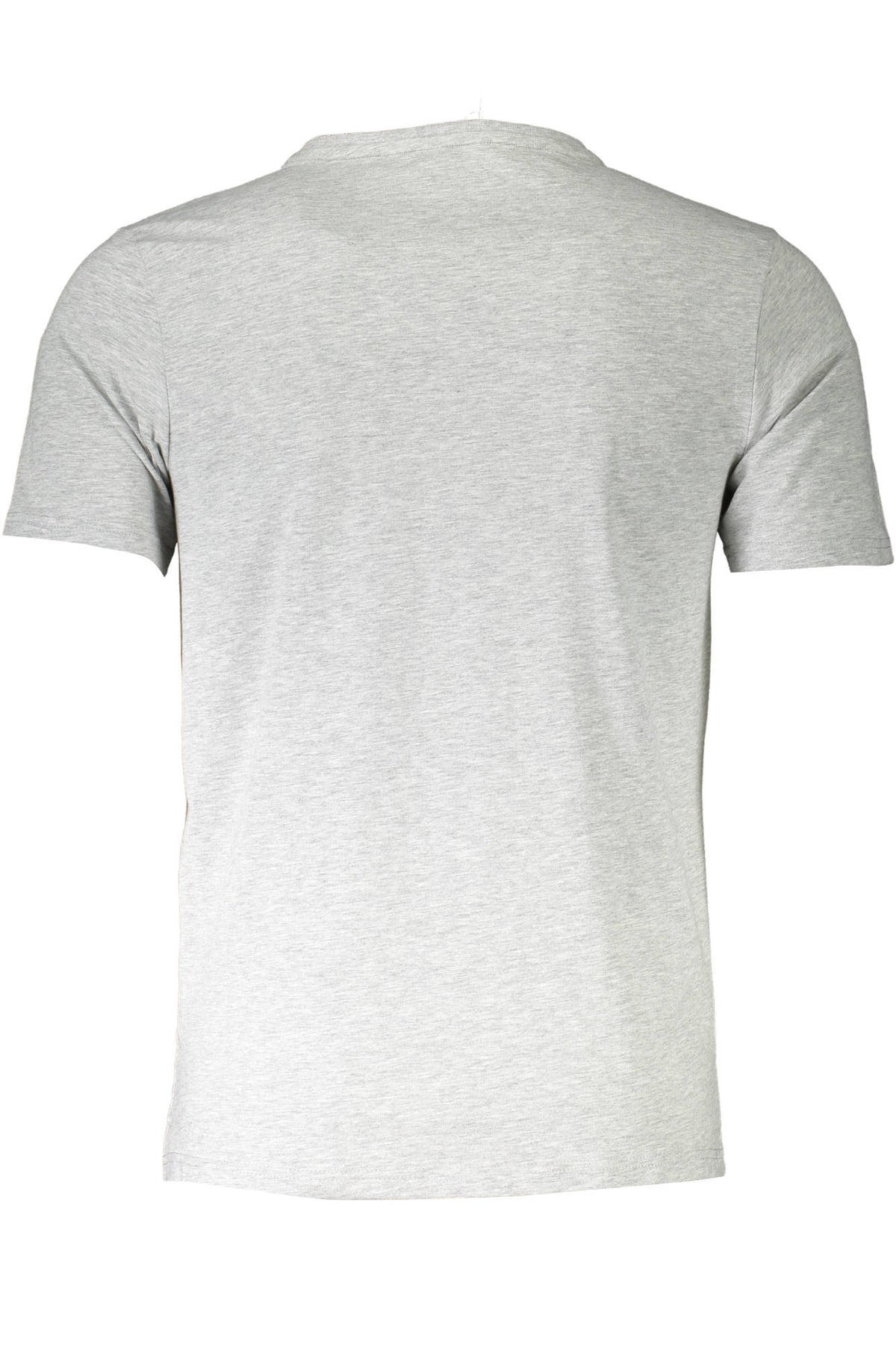 Grigio