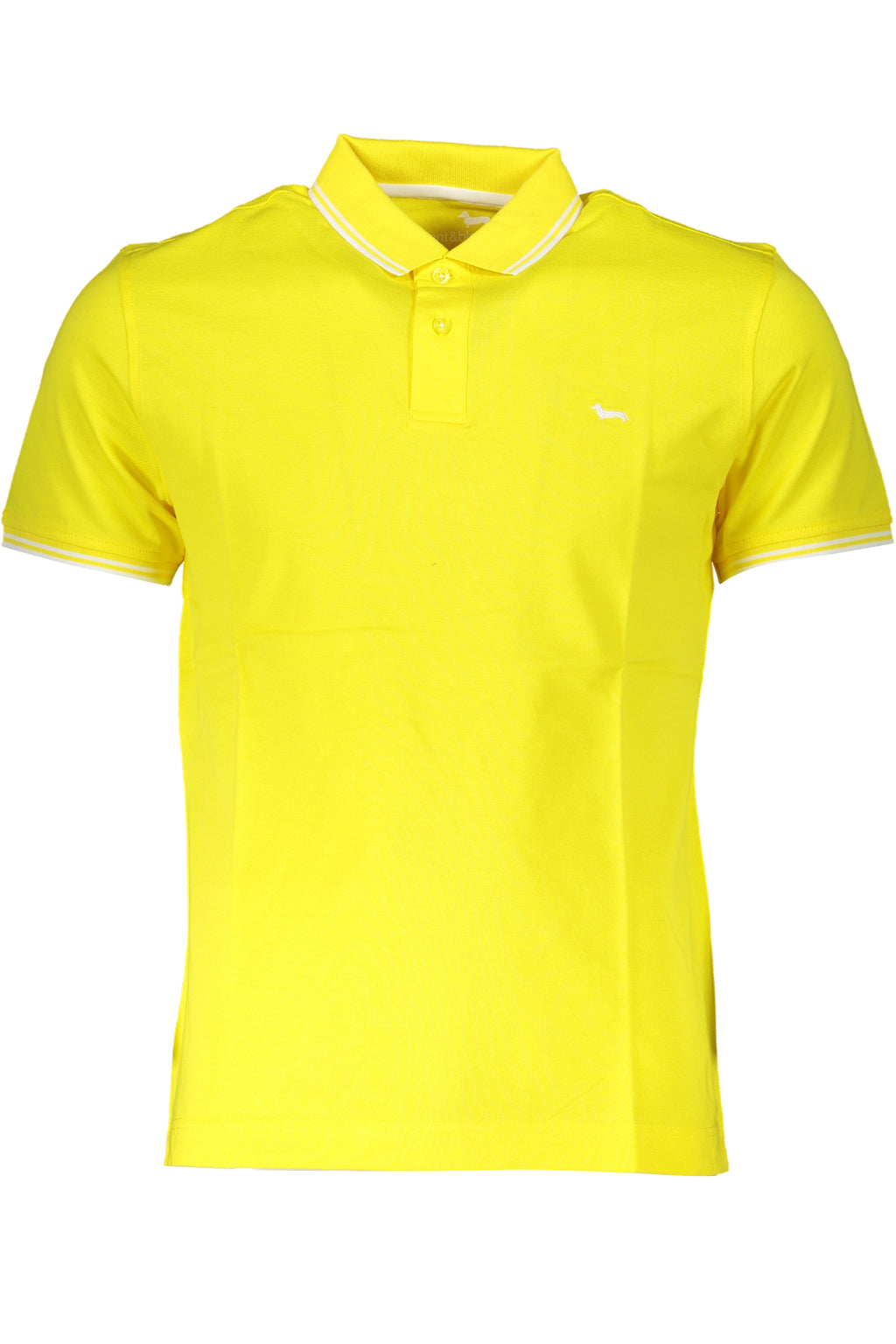 Giallo