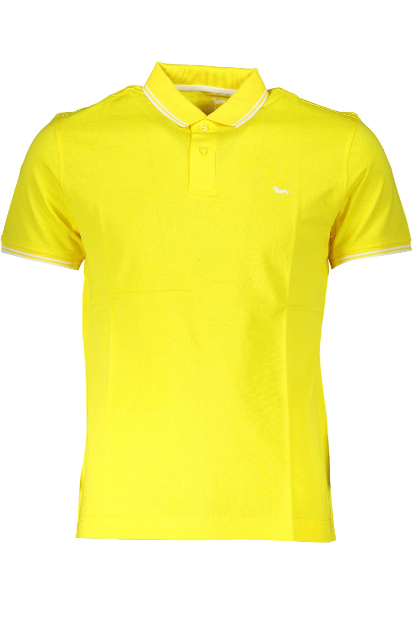 Giallo